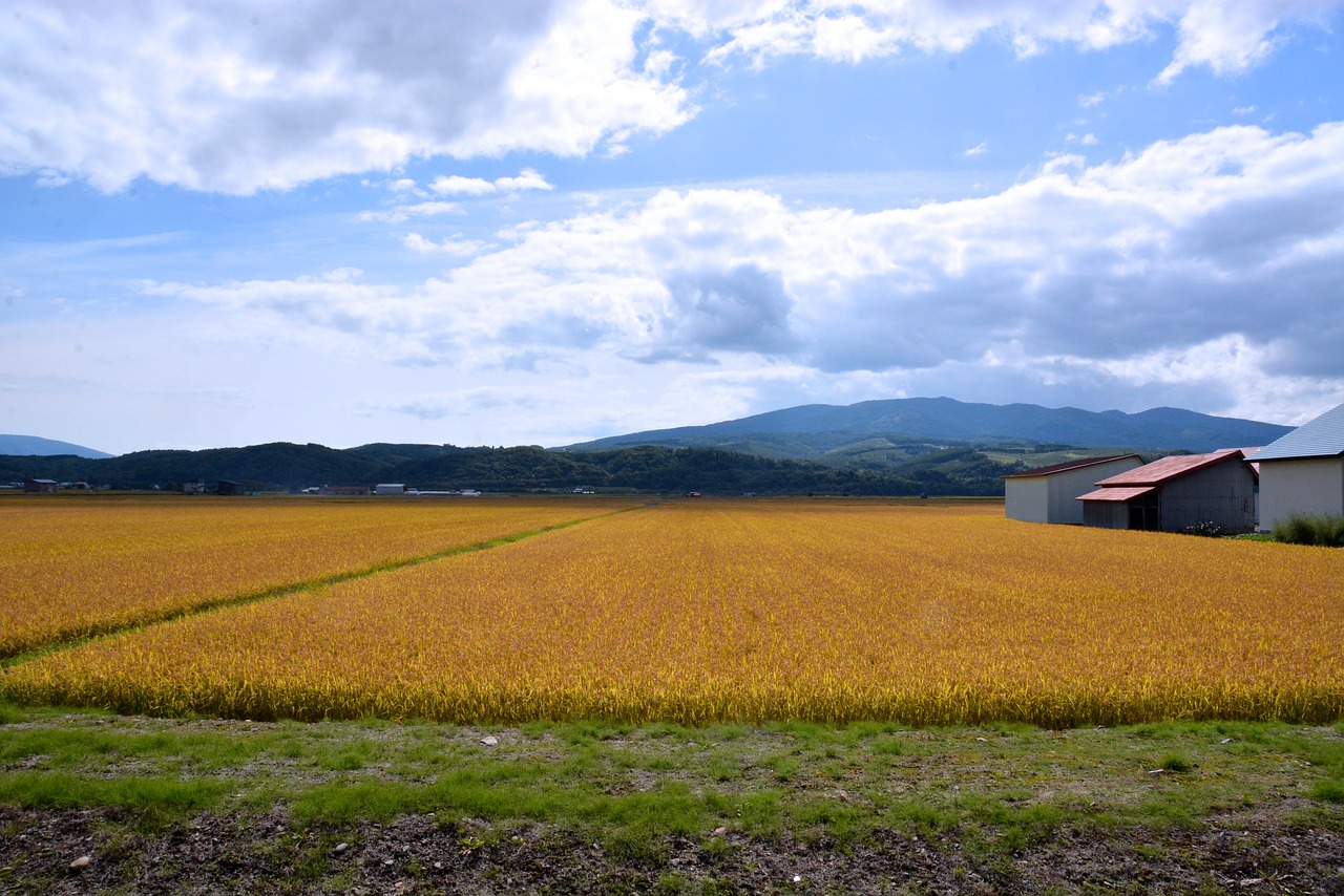 prelazione agraria