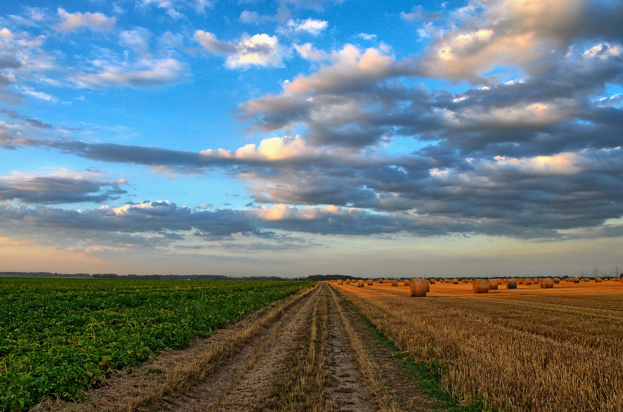 prelazione agraria